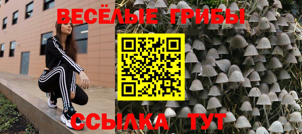 Псилоцибиновые грибы ЛСД Заводоуковск