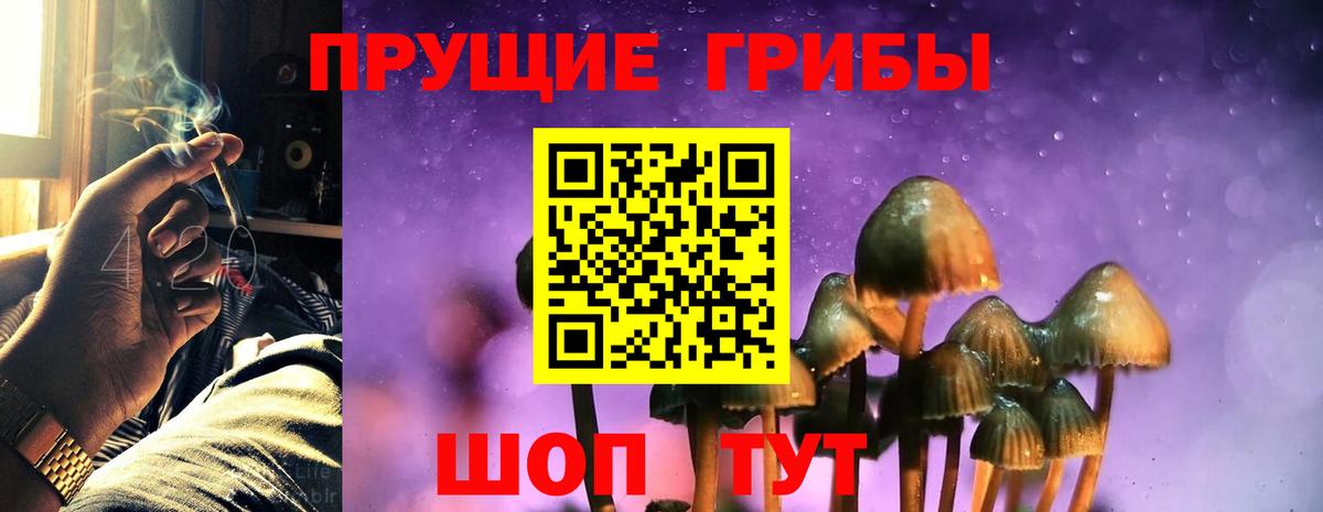 Псилоцибиновые грибы мухоморы  Вход с VPN  Заводоуковск 