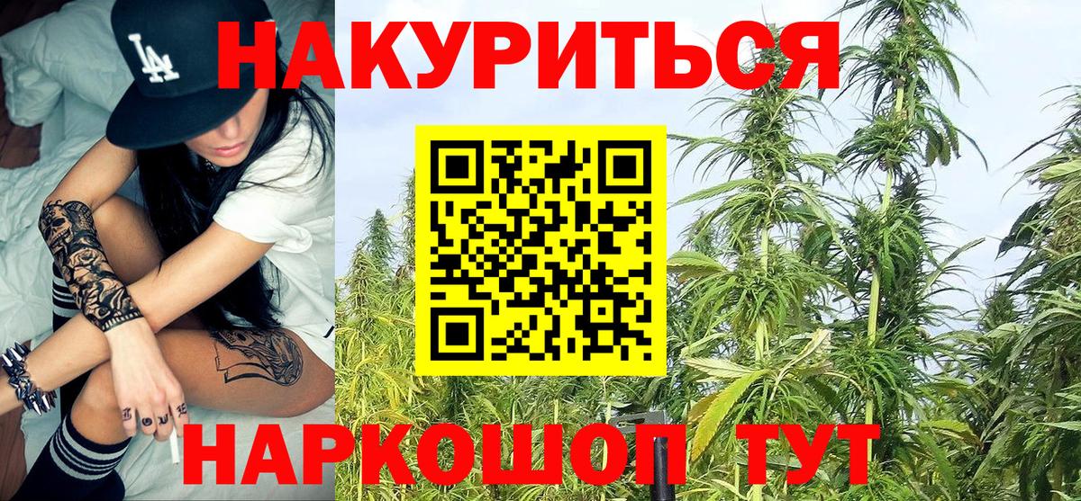 Марихуана семена  Бошки Шишки гибрид  Заводоуковск  Канабис марихуана  Вход с VPN 